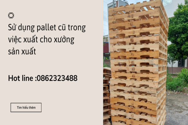 Sử dụng pallet cũ trong việc xuất cho xưởng sản xuất: Giải pháp tiết kiệm chi phí và tối ưu hóa quá trình sản xuất